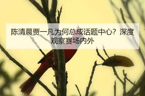 陈清晨贾一凡为何总成话题中心？深度观察赛场内外