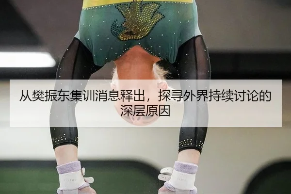 从樊振东集训消息释出，探寻外界持续讨论的深层原因